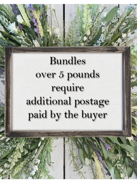 Gio Girl Jeans Denim Embroidered Overalls Size 4T NWT - Picture 9 of 13